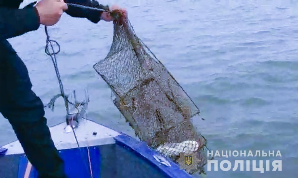У Херсонській області співробітники водної поліції попередили вилов червонокнижних видів риб