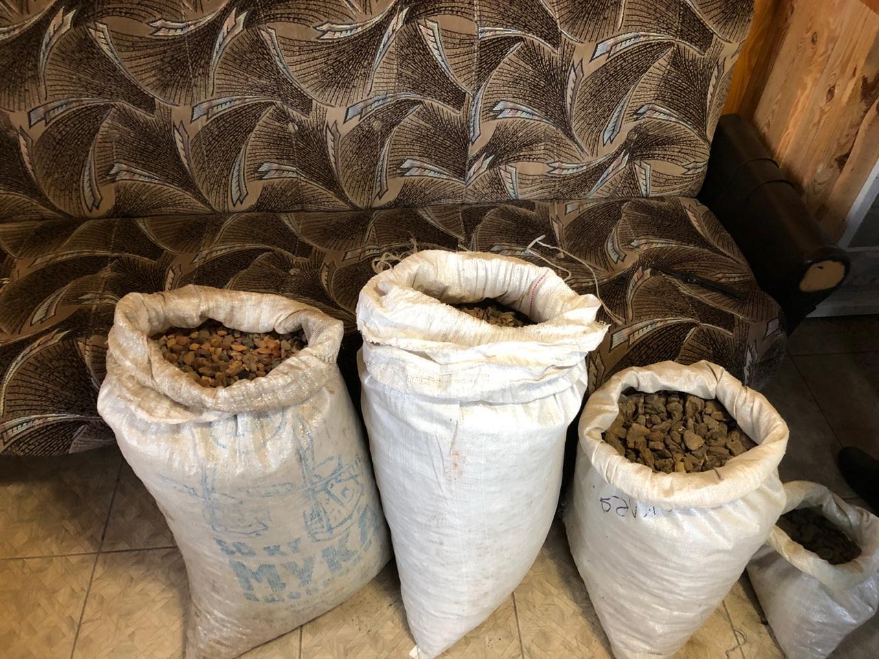 Поліцейського викрито на одержанні хабарів за сприяння незаконному видобутку бурштину на Рівненщині