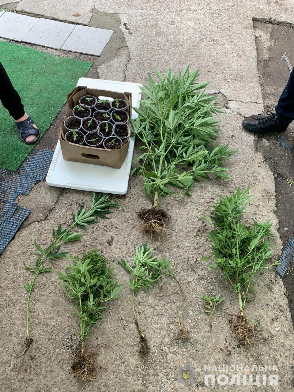 Поліцейські вилучили у члена наркоугруповання наркотики вартістю близько 400 тисяч гривень