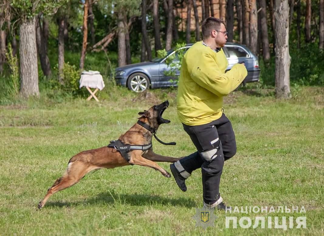 Поліцейські-кінологи вибороли перше місце серед силових структур на чемпіонаті зі службового собаківництва