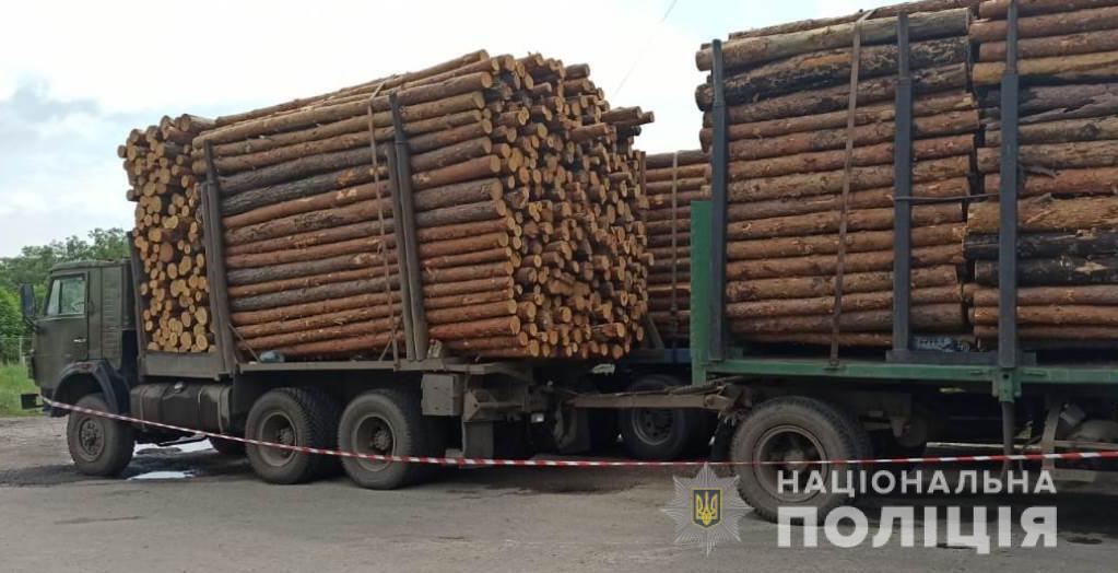 На Харківщині поліцейські виявили кілька фактів незаконного перевезення деревини