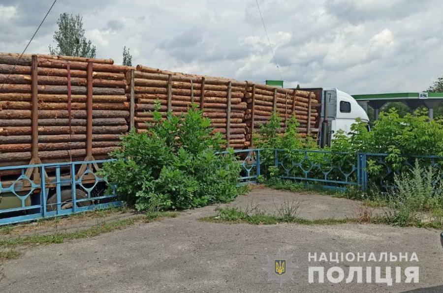 На Харківщині поліцейські виявили кілька фактів незаконного перевезення деревини