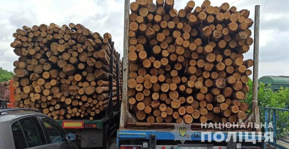 На Харківщині поліцейські виявили кілька фактів незаконного перевезення деревини