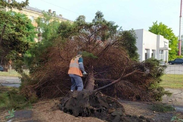 Негода у Маріуполі: повалені дерева, зупинився електротранспорт