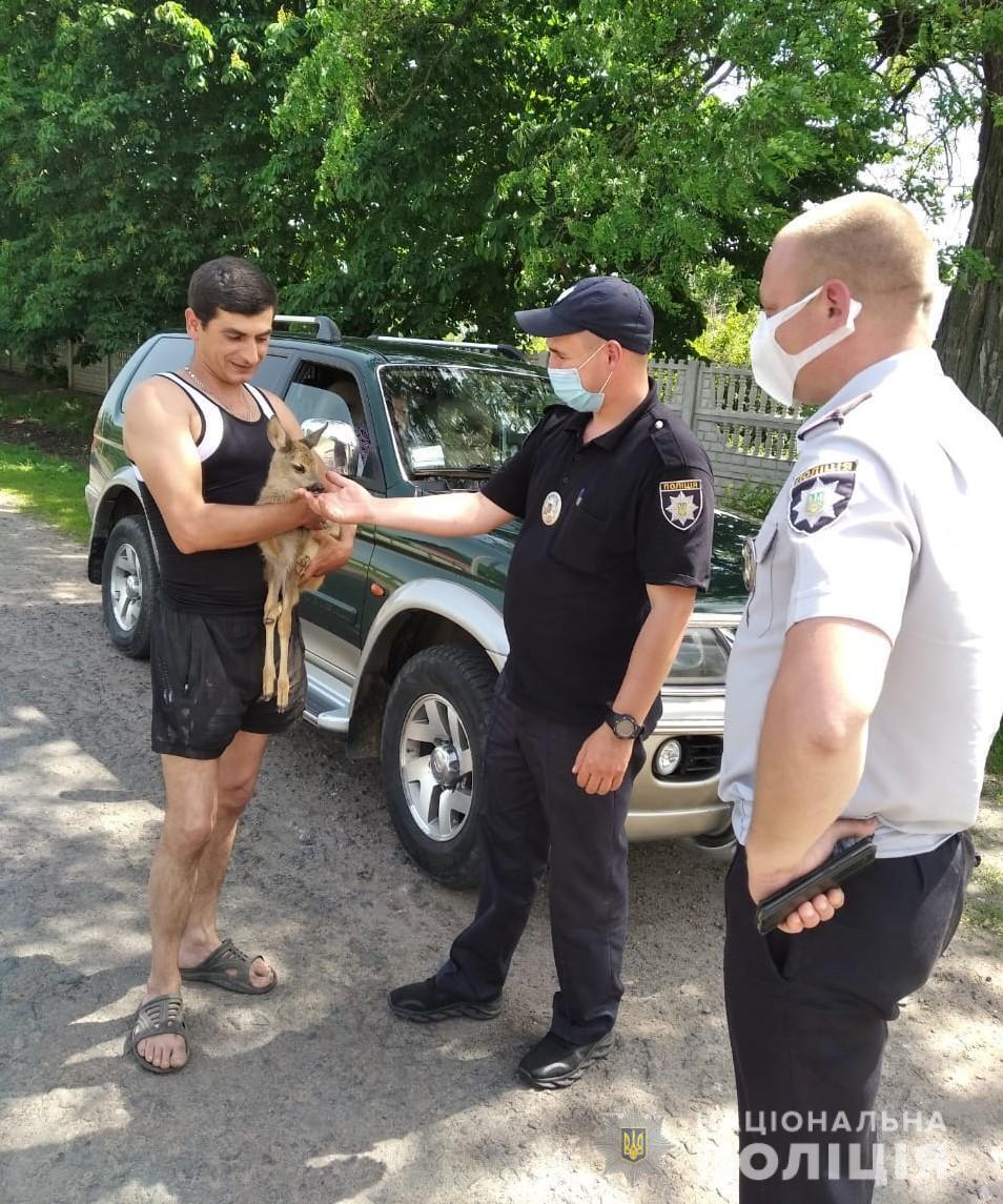 На Вінниччині поліцейські передали зоопарку маля козулі, яке виявили під час відпрацювання району