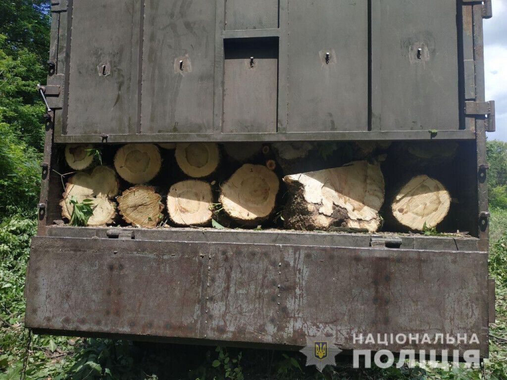 Покровські поліцейські задокументували два факти незаконної порубки лісу