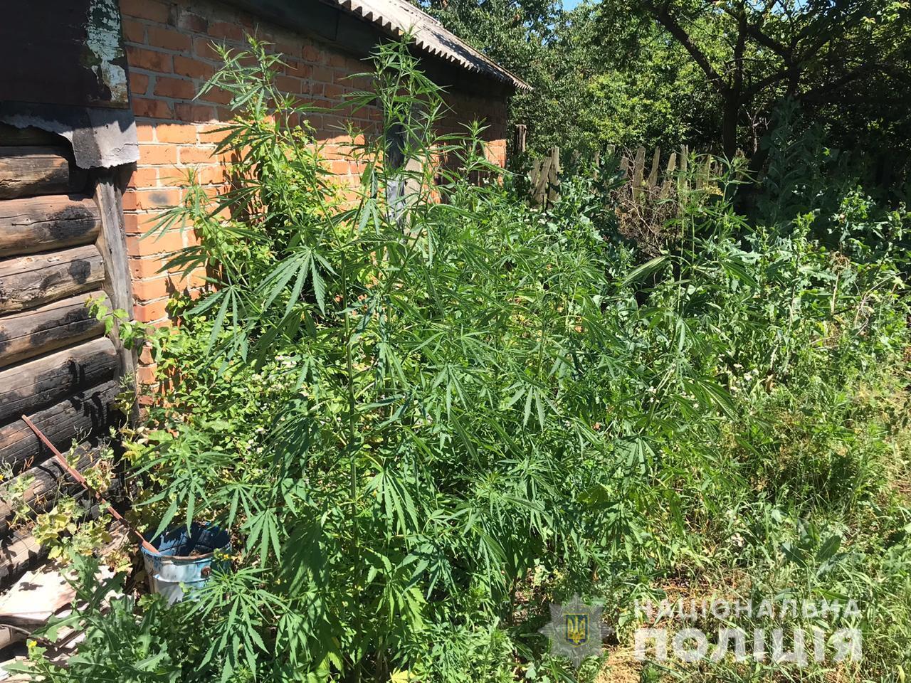 Поліція Київщини ліквідувала три нарколабораторії та затримала групу торгівців амфетаміном