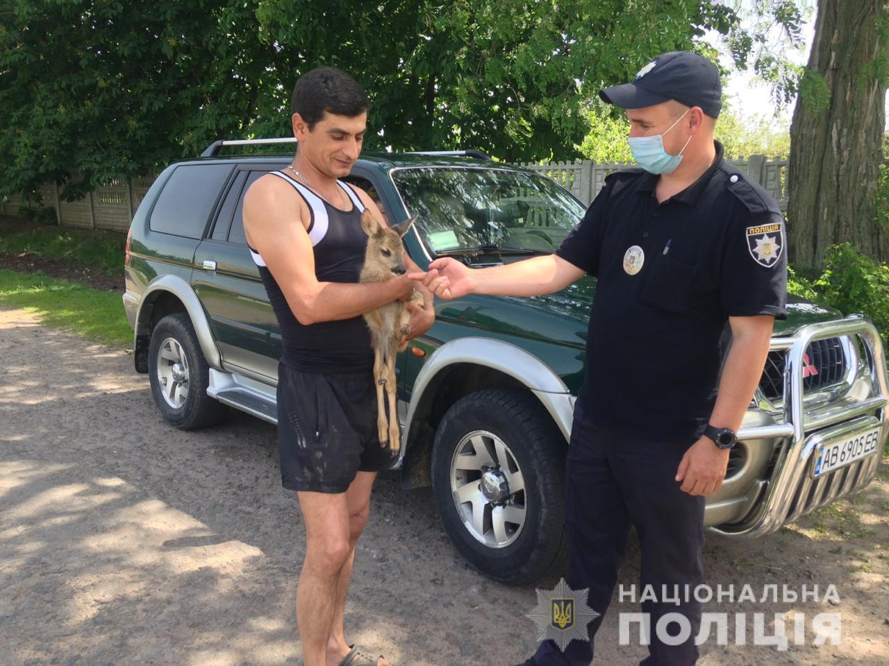 На Вінниччині поліцейські передали зоопарку маля козулі, яке виявили під час відпрацювання району
