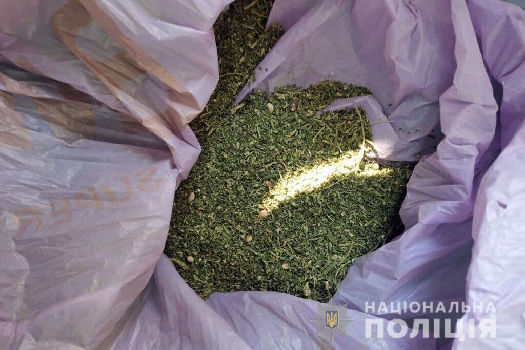 Оперативники Краматорська викрили власника макового та конопляного врожаю