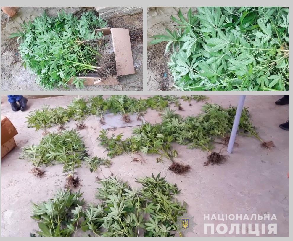 Під час обшуків в Ізмаїлі правоохоронці вилучили зброю та наркотики