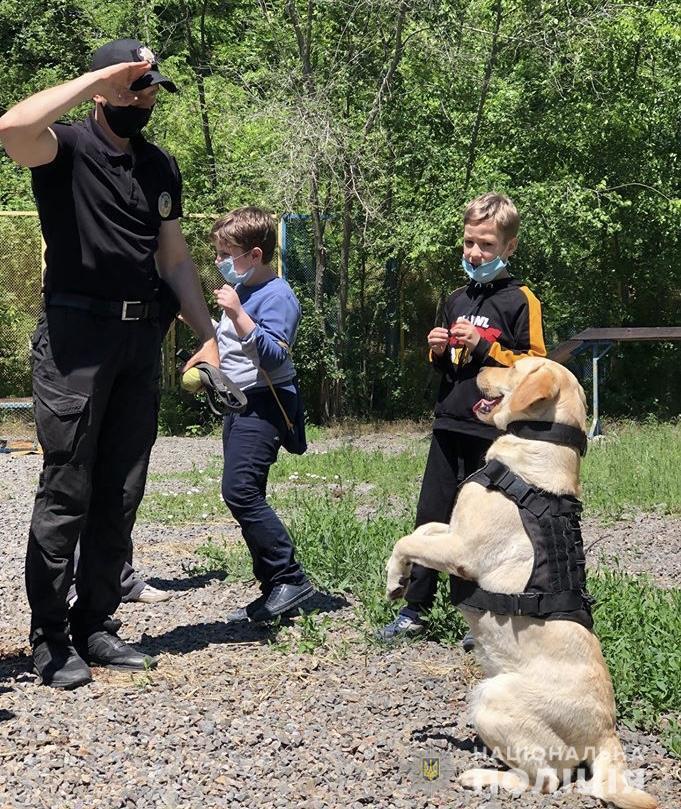 Чотирилапі вихованці Кінологічного центру поліції Донеччини здивували вміннями юних ушуїстів