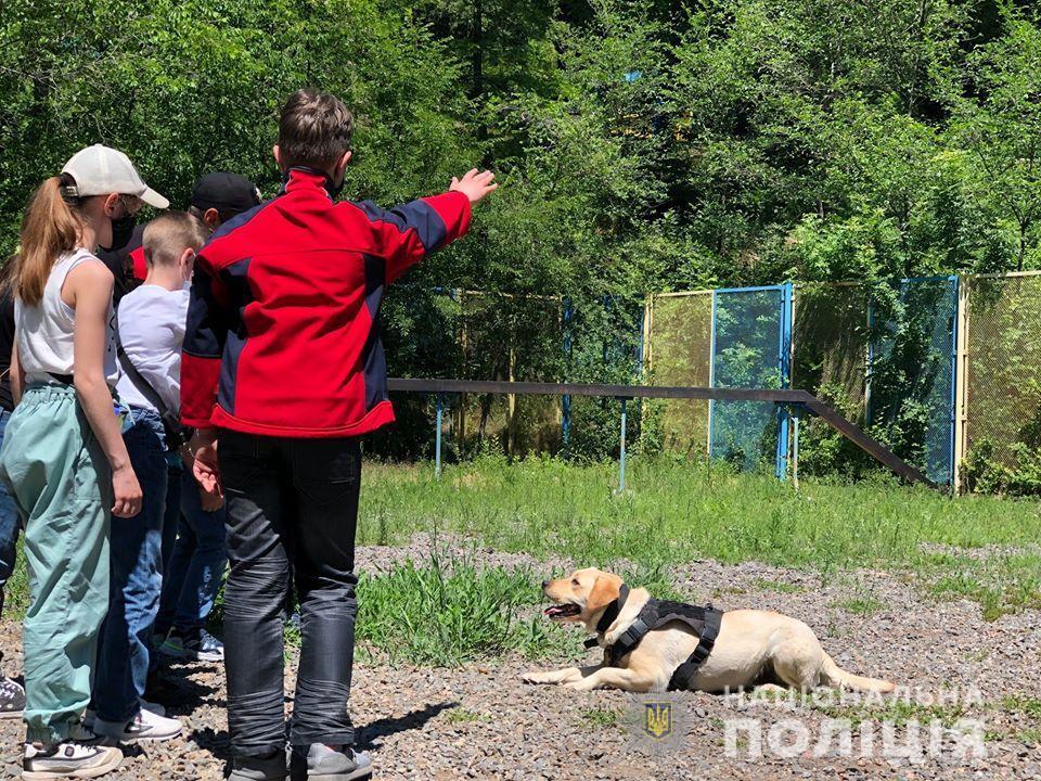 Чотирилапі вихованці Кінологічного центру поліції Донеччини здивували вміннями юних ушуїстів