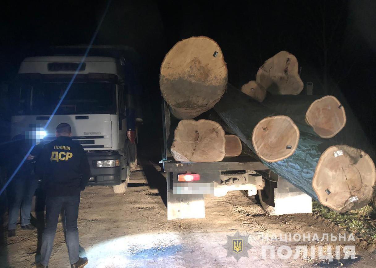 На Львівщині за організацію незаконної порубки лісу перед судом постануть учасники організованої злочинної групи