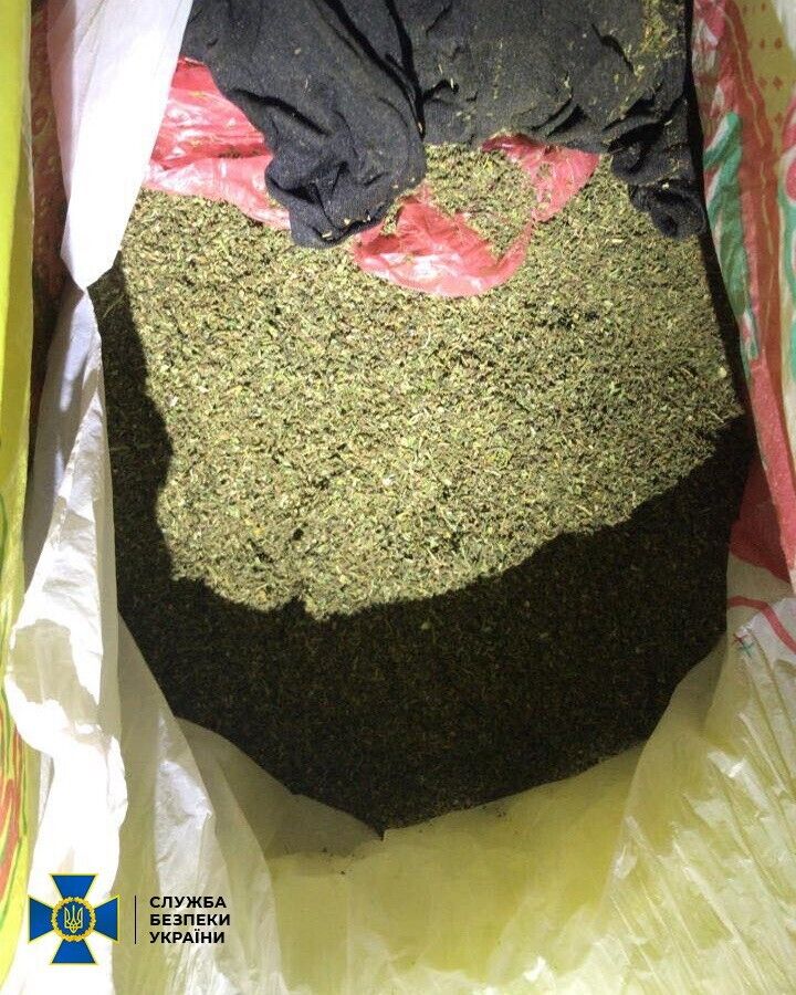 У Запоріжжі СБУ блокувала наркотрафік із мільйонним оборотом