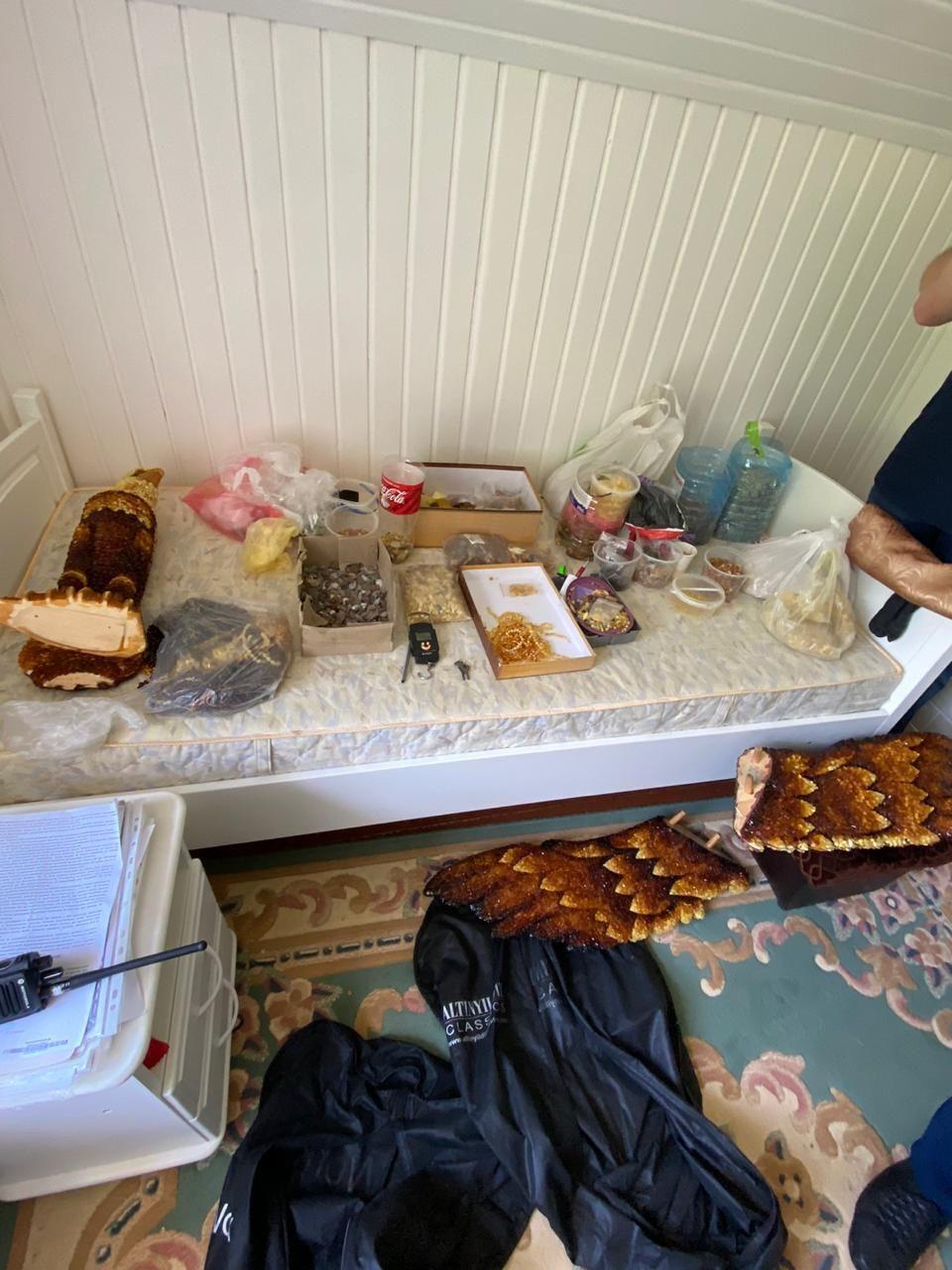 Правоохоронці на Рівненщині вилучили майже 82 кг каміння бурштину (ФОТО)