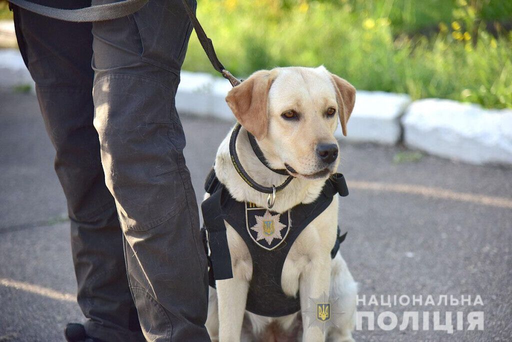 Поліцейські зі складу ООС провели відпрацювання прифронтового селища Новотроїцьке