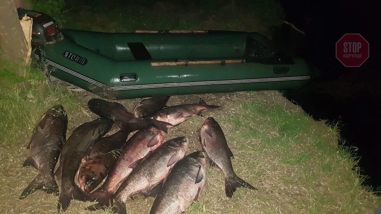  Результати рейду громадських активістів. Фото: СтопКор.&nbsp;