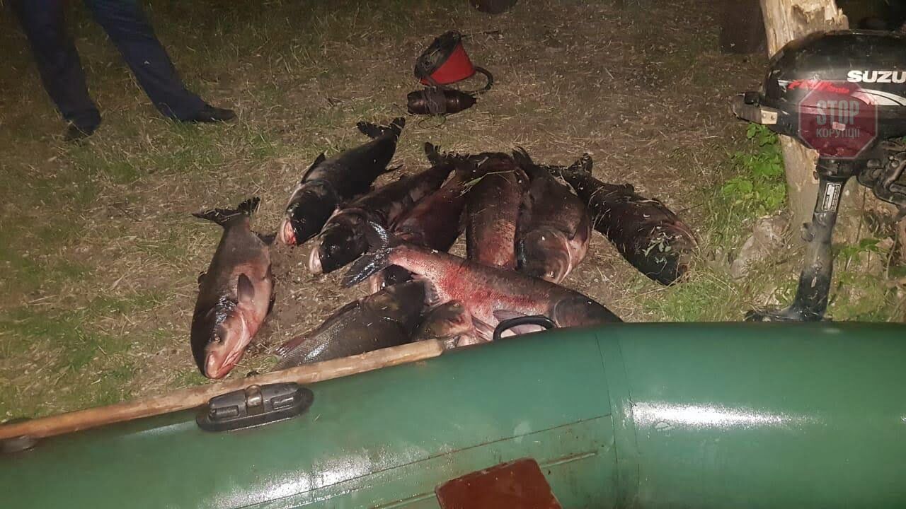  Браконьєри займались виловом під час нересту. Фото: СтопКор.