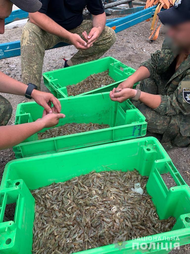 На Херсонщині поліція на воді викрила браконьєрів, які ''маскувались'' під наукових співробітників