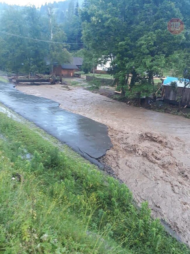 Фото: фб/Закарпатська ОДА