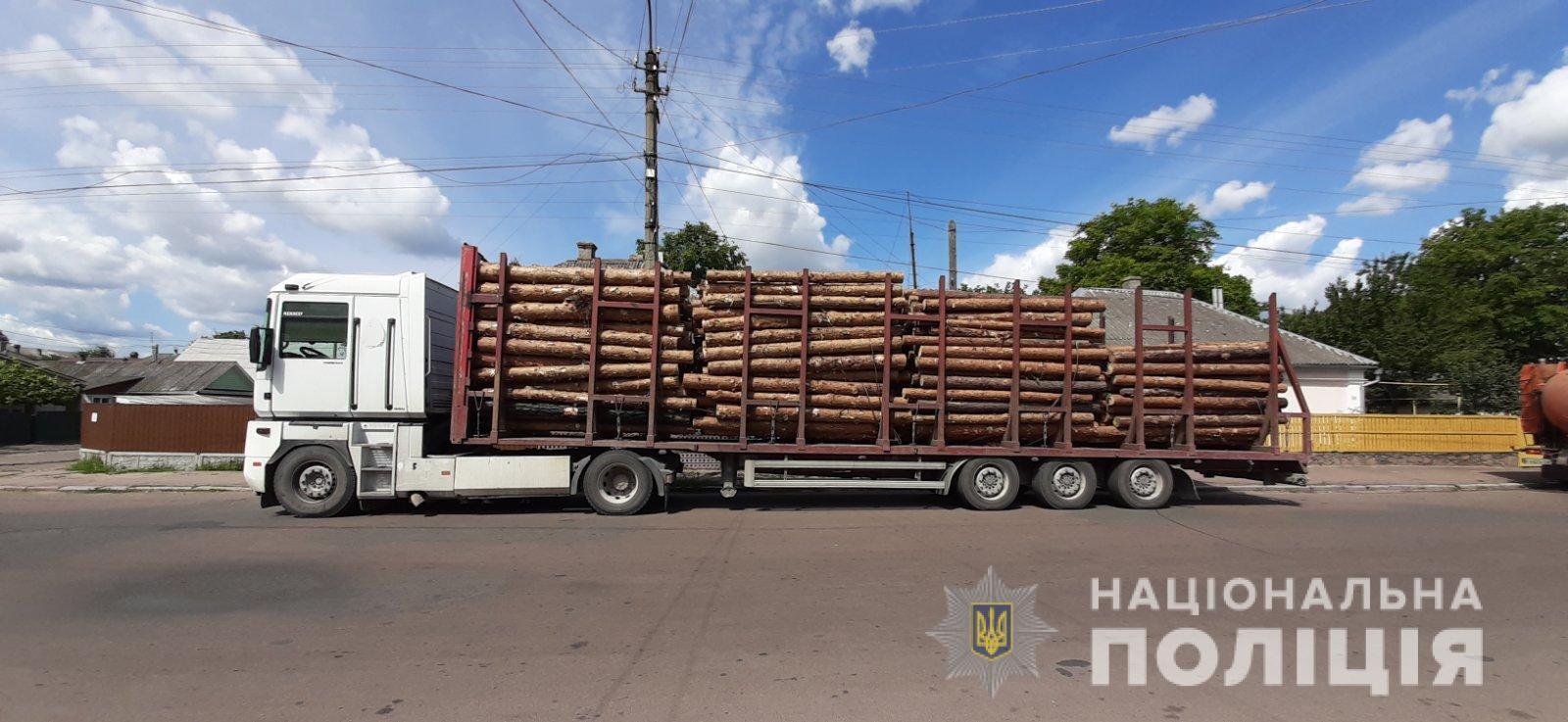 На Житомирщині поліція відкрила 16 кримінальних проваджень за час профілактики у сфері лісокористування