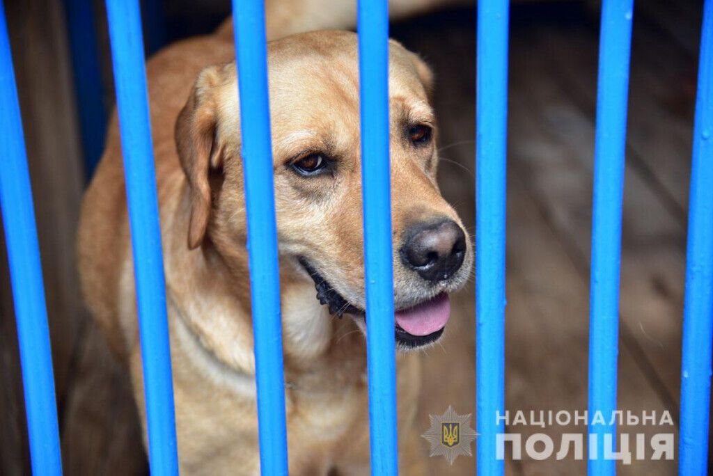 Начальник поліції Донеччини презентував результати реконструкції трьох поліцейських підрозділів