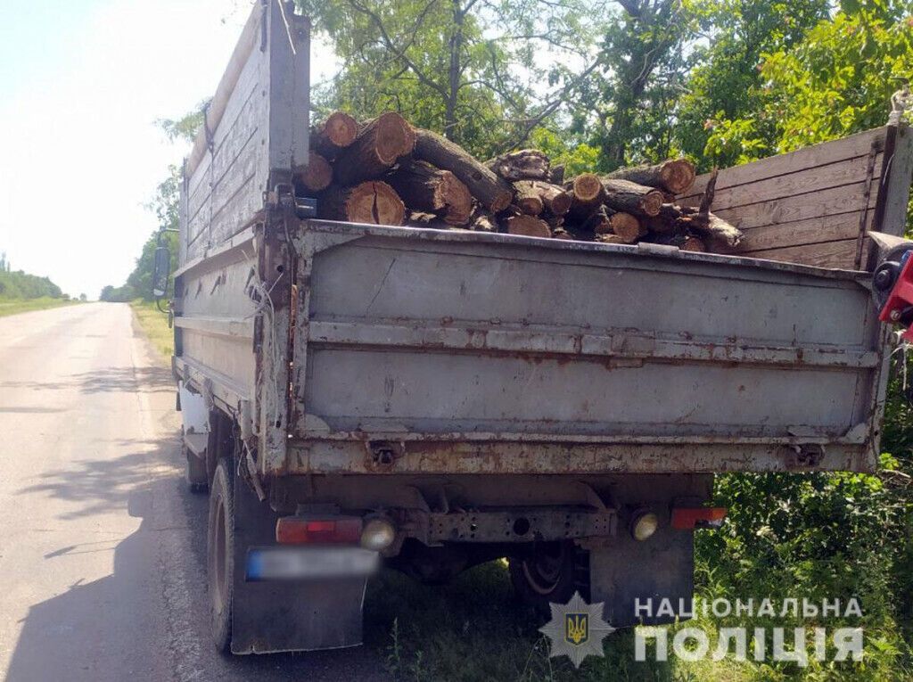 Поліцейські Волновахи викрили «чорних» лісорубів