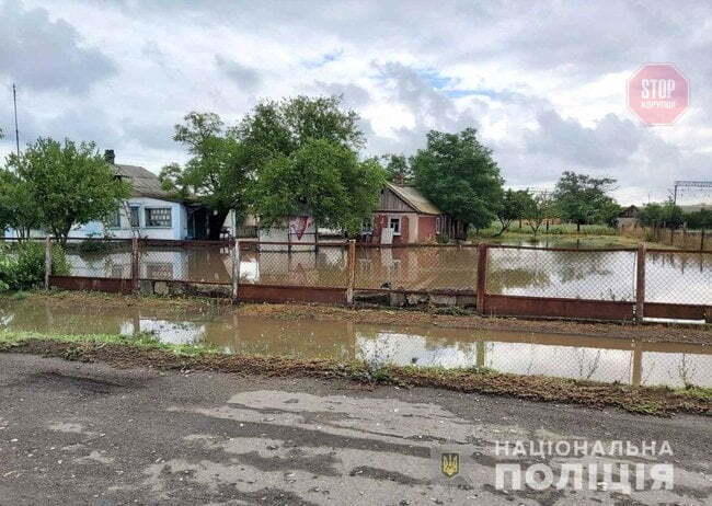  Фото: Нацполіція