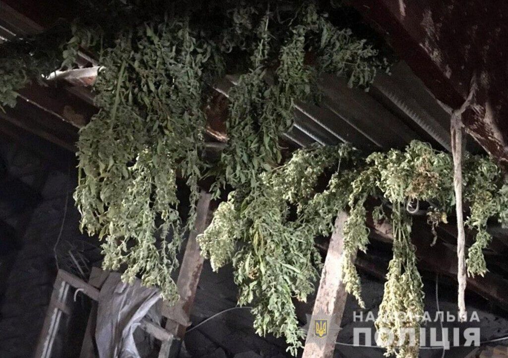 Поліцейські управління протидії наркозлочинності вилучили понад кілограм наркосировини