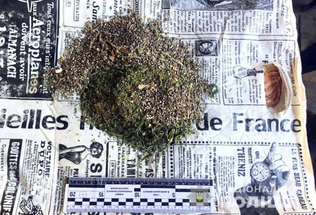 У жителя прифронтового Новолуганського поліцейські виявили наркопосів і партію марихуани