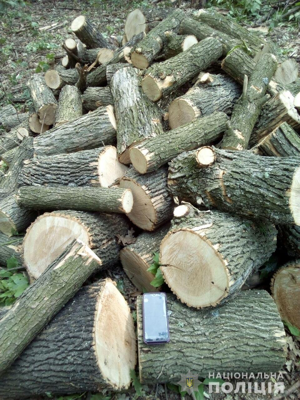 За фактом незаконної вирубки лісу поліція Бахмута відкрила кримінальне провадження