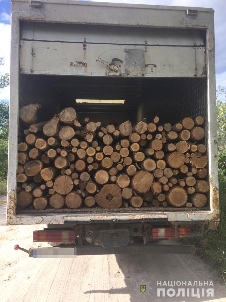 На Житомирщині поліція відкрила 16 кримінальних проваджень за час профілактики у сфері лісокористування