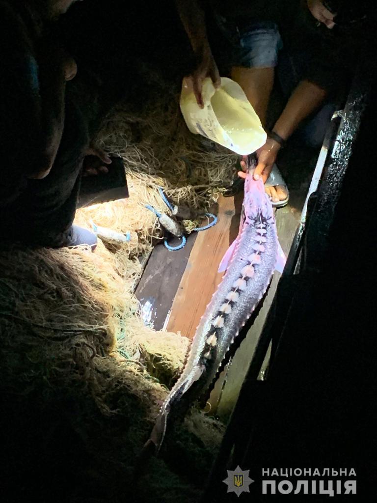 Під час рейду на Дунаї в Кілійському районі поліцейські з рибоохороним патрулем викрили двох браконьєрів