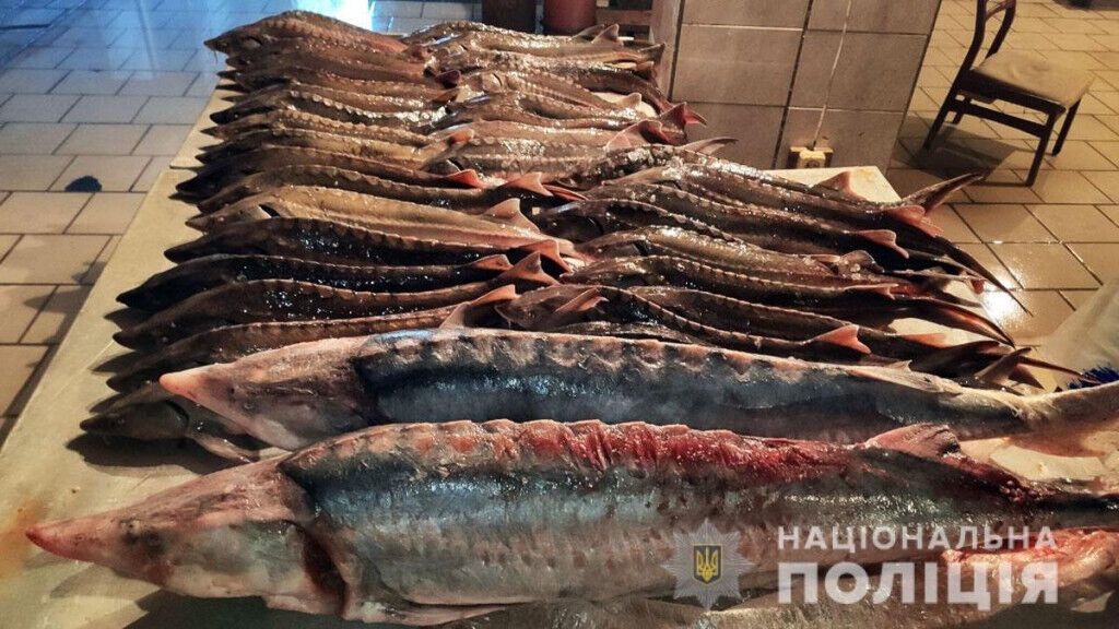 Поліцейські Донеччини викрили зловмисника, який займався незаконним виловом та продажем риби