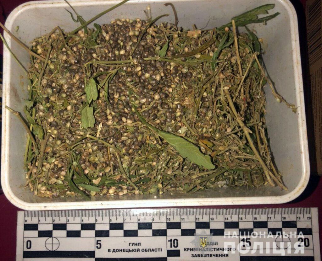 У жителя прифронтового Новолуганського поліцейські виявили наркопосів і партію марихуани