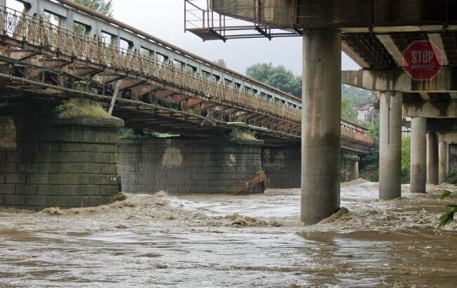  Фото: flickr.com