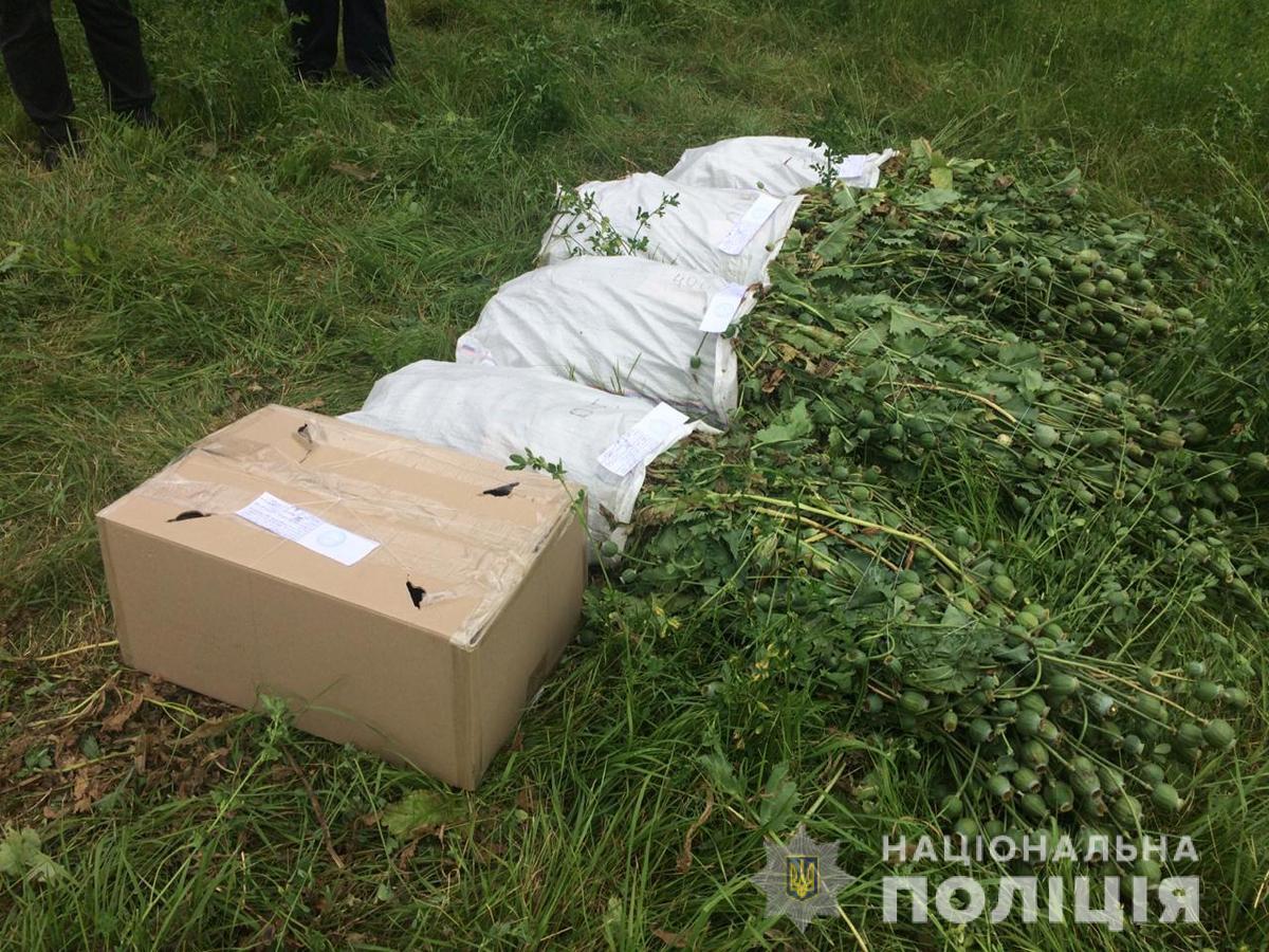 Протягом доби у Житомирському районі поліцейські вилучили понад дві тисячі нарковмісних рослин