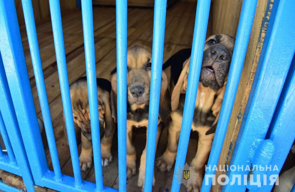 Начальник поліції Донеччини презентував результати реконструкції трьох поліцейських підрозділів