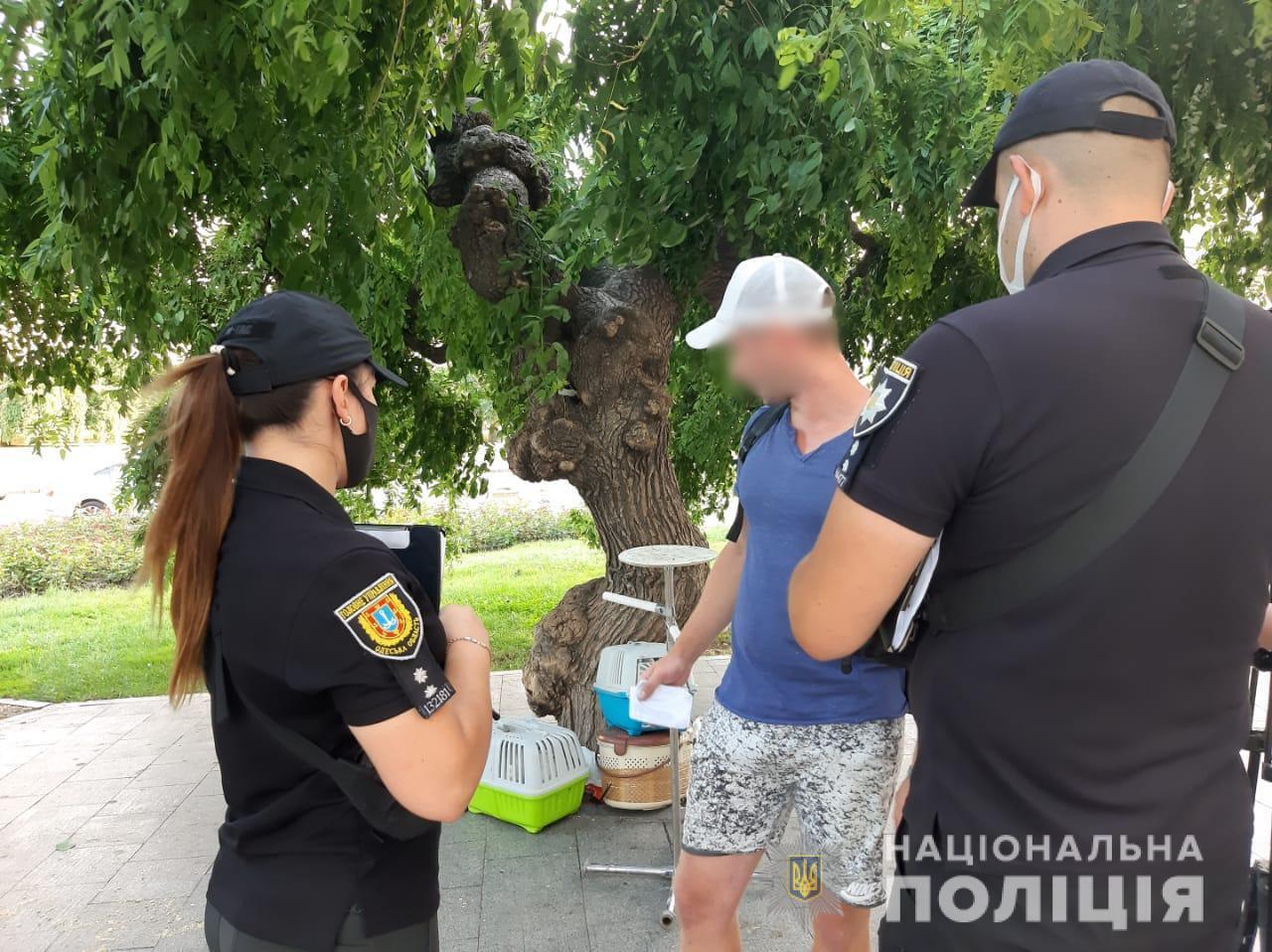 Одеські поліцейські проводять профілактичні заходи щодо попередження правопорушень, пов’язаних з експлуатацією тварин