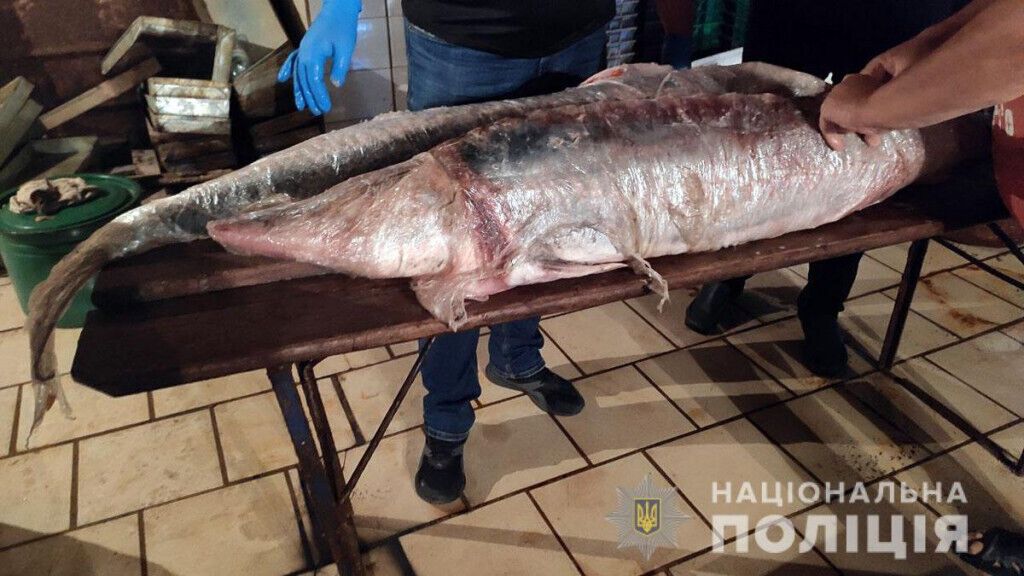 Поліцейські Донеччини викрили зловмисника, який займався незаконним виловом та продажем риби
