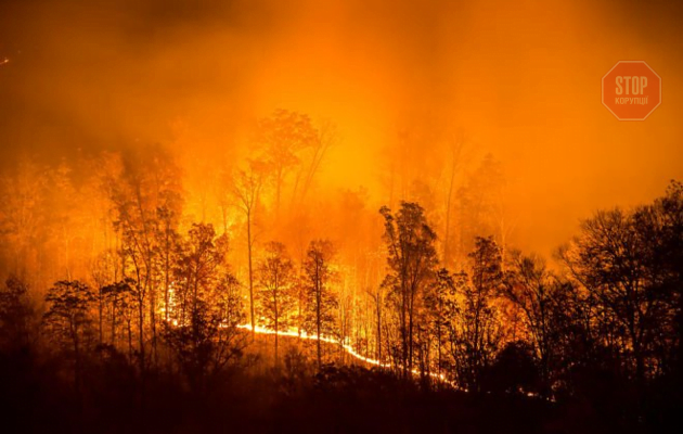  Фото: Дзеркало тижня