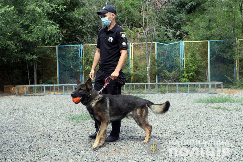 Кінологічний центр відвідали діти з «Республіки Пілігрим»