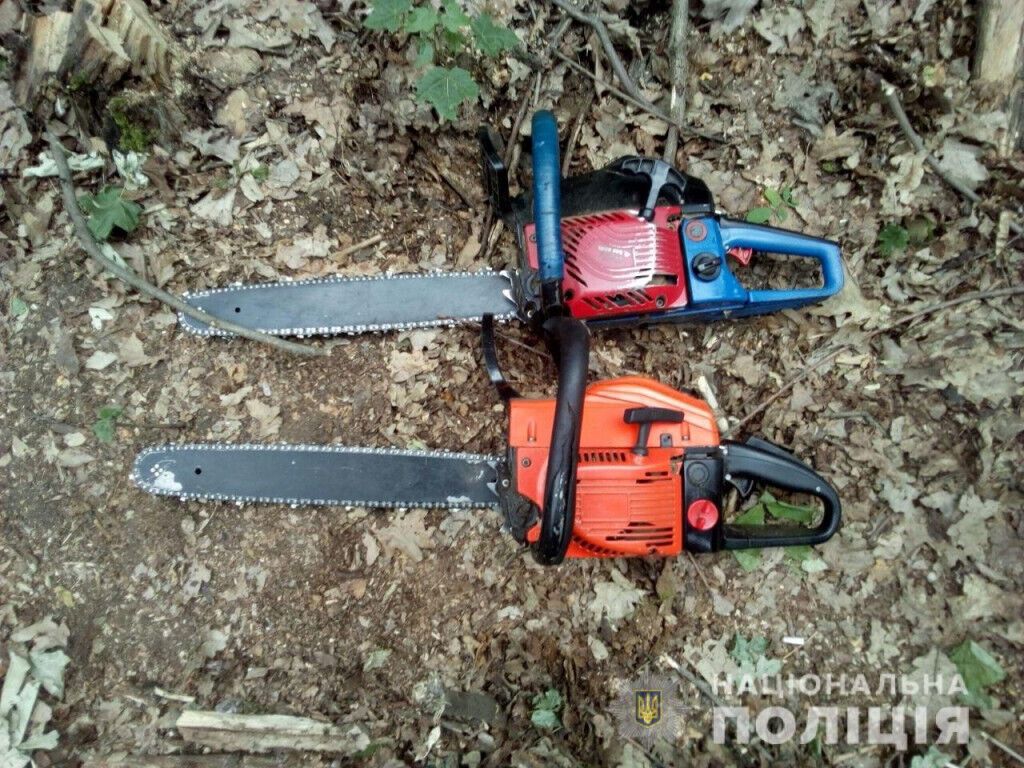 За фактом незаконної вирубки лісу поліція Бахмута відкрила кримінальне провадження