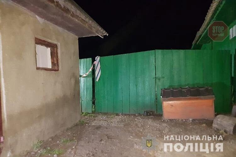 У Тернопільській області жінка викинула новонароджену дитину в дворовий туалет