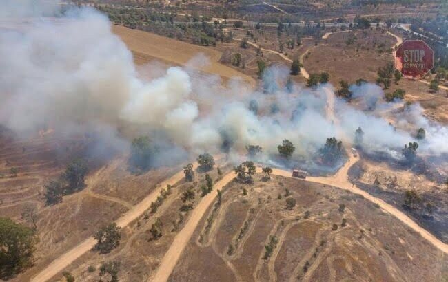  Фото: twitter.com/IDF