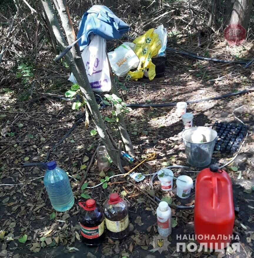  Фото: Національна поліція