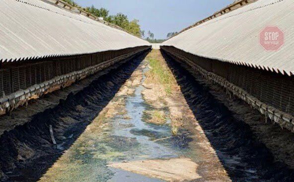  Фото: СтопКор