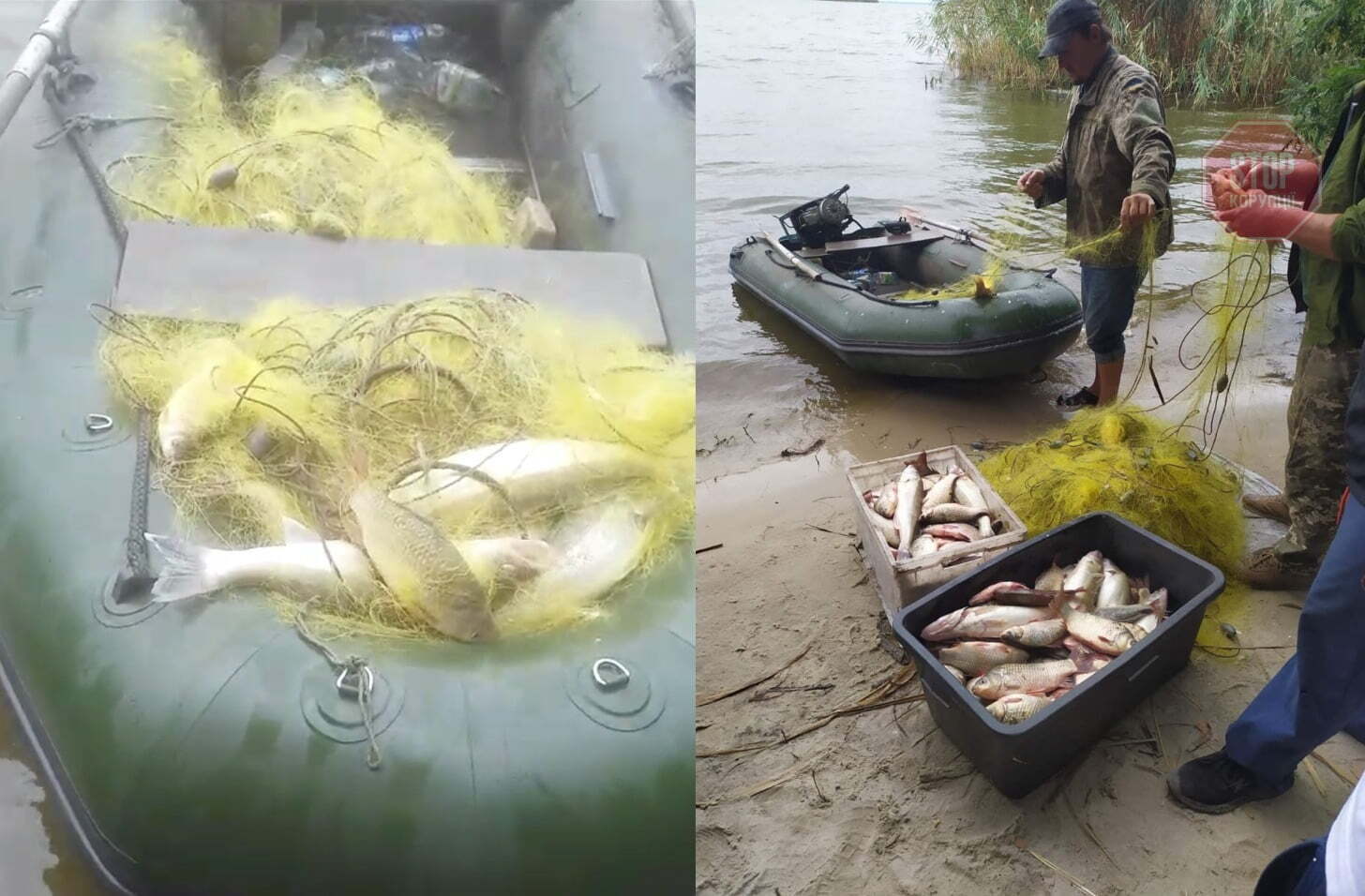 26 серпня активісти виявили в затоці заповнені рибою сітки Фото: СтопКор