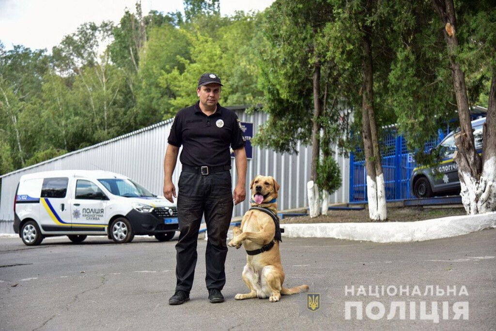 Понад 16 тисяч боєприпасів вилучили поліцейські Донеччини завдяки допомозі службових собак