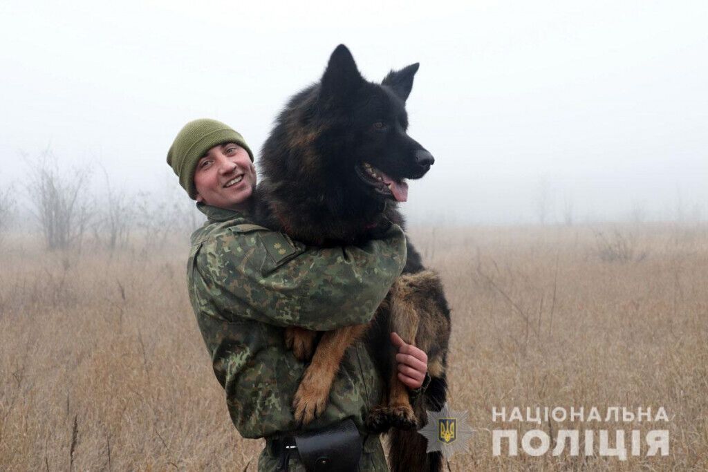 Понад 16 тисяч боєприпасів вилучили поліцейські Донеччини завдяки допомозі службових собак